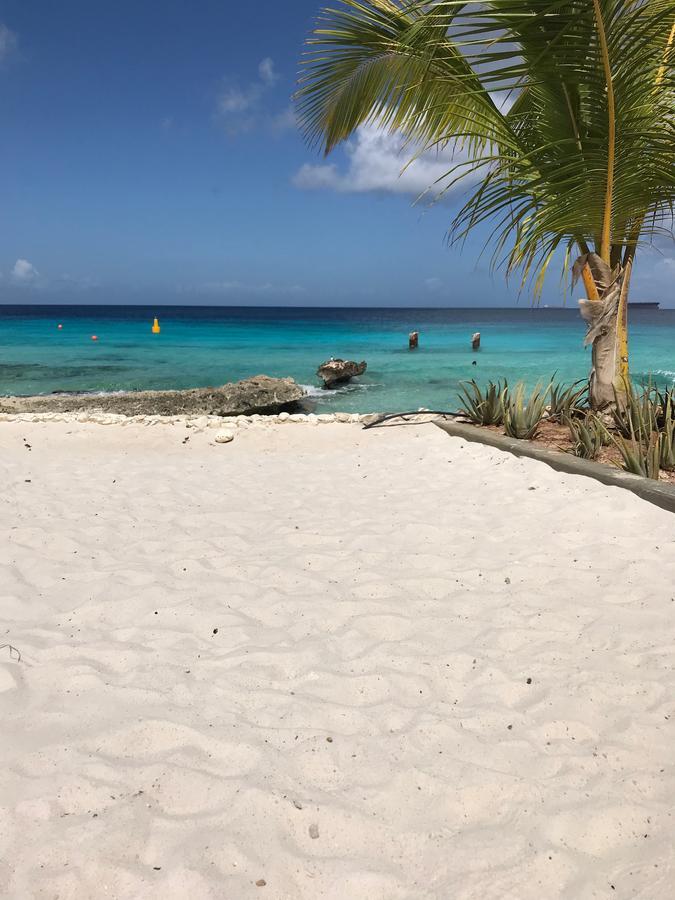 Bonaire Boutique Resort Playa Exteriör bild