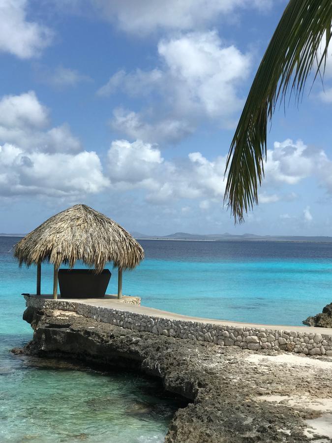 Bonaire Boutique Resort Playa Exteriör bild